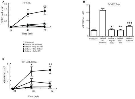 Cell Induction In The Presence Of Nfκb Inhibition Decreases Viral