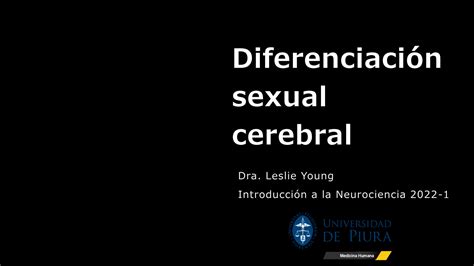 Solution La Diferenciaci N Sexual Cerebral Studypool