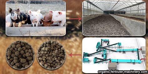 What Process And Machinery Are Needed To Make Pig Manure Into Organic