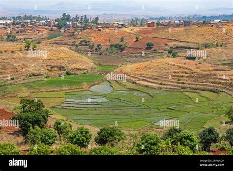 Rice Terraces Madagascar Hi Res Stock Photography And Images Alamy