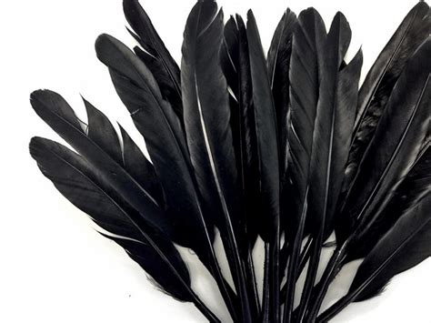 Black Duck Feathers 1 Pack Black Duck Cochettes Loose | Etsy