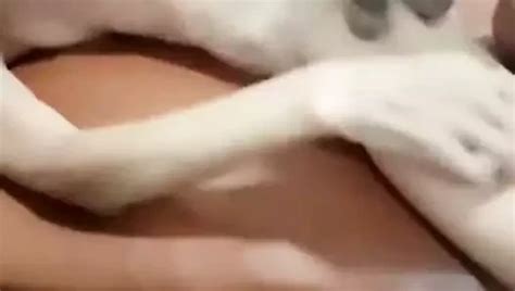 Le Maigre Chinois Au Lit Chinese Gay Amateur Amateur Porn XHamster