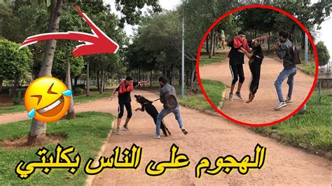 مقلب الهجوم على الناس بكلبتي شاهد صدمة 😮😱 Prank 🔥 Youtube