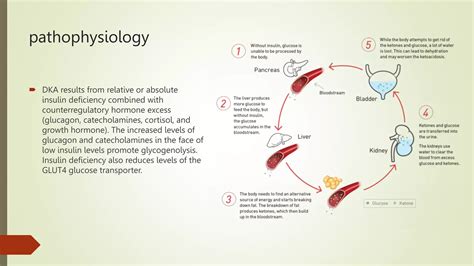 Diabetic Ketoacidosis And Hyperosmolar Hyperglycemic State Pptx