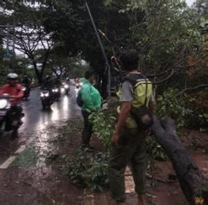 Hujan Es Dan Angin Kencang Melanda Depok Begini Penjelasan Bmkg