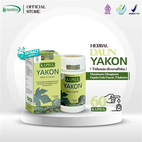 Jual Yakon Kapsul Daun Insulin Tazakka Isi Ekstrak Obat Herbal