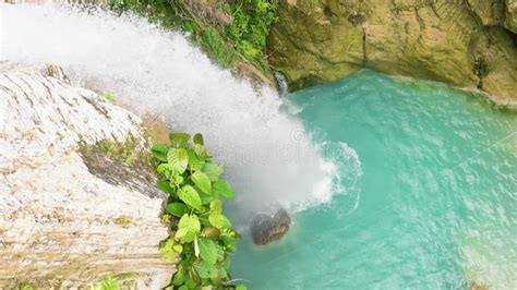 Waterfall in the Green Forest. Stock Footage - Video of gorge, outdoor ...