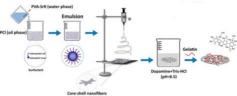 Schematic Illustration Of The Scaffold Preparation Download Scientific Diagram