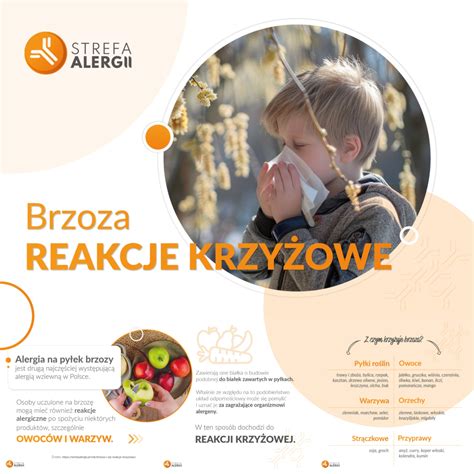 Alergia Wziewna Objawy Rodzaje I Diagnostyka Strefa Alergii