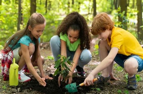 Educa O Ambiental Unicv Centro Universit Rio Cidade Verde