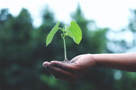 Alimentarnos Sin Devorar El Planeta Reg Nesis De Monbiot