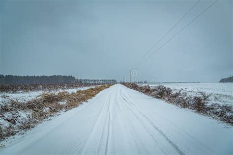 January Snow Day stock photo. Image of covered, frozen - 200324912