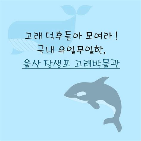 울산 고래들의 모험을 따라서 울산 장생포고래박물관