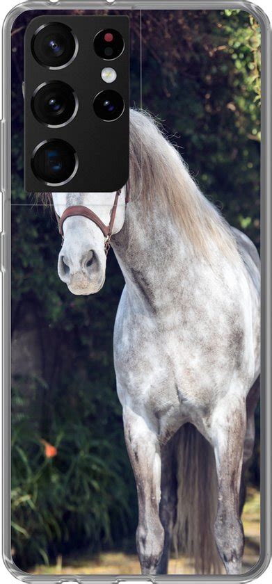 Samsung Galaxy S Ultra Hoesje Paard Halster Natuur Siliconen