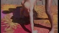 F M Bradley Free Porn Star Videos 48 XHamster