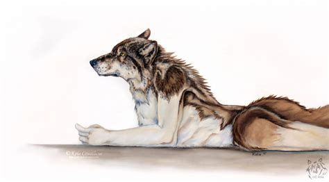 The Anthropomorphic Wolf by LKE-Kola on DeviantArt