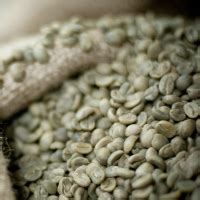 Buy Unwashed Robusta Green Coffee Beans Grade 1s Online From Exporters