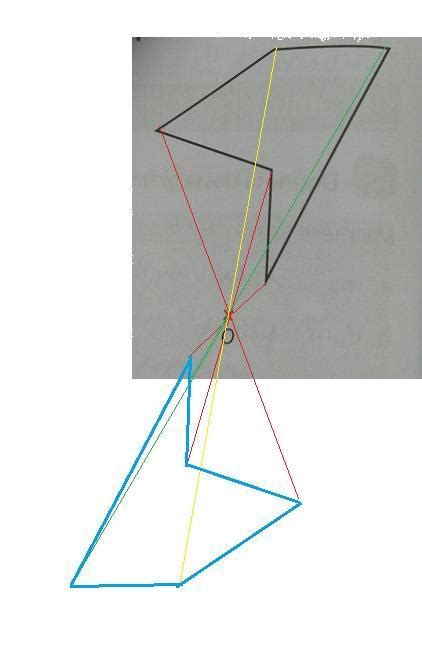 Au Compas Et La R Gle Construis Le Sym Trique De La Figure Par