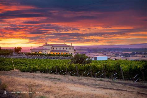 Chandler Reach Vineyards Benton City Wa Wedding Venue