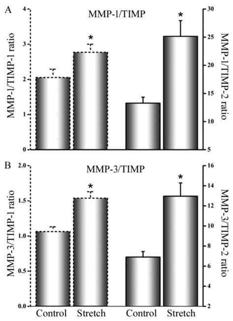 Induction Of Mmp And By Cyclical Mechanical Stretch Is Mediated By