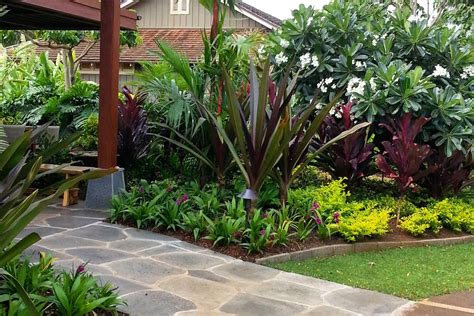 Lush Landscaping Kauai