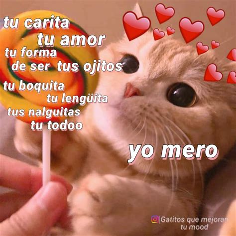 Frases Para Tu Crush Frases Para Dedicar S Gueme Para Mas Frases