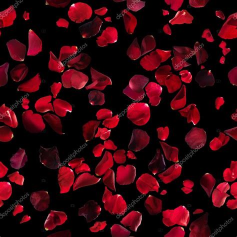 Red Rose Petals Texture on Black Stock Photo by ©designnatures 111313792