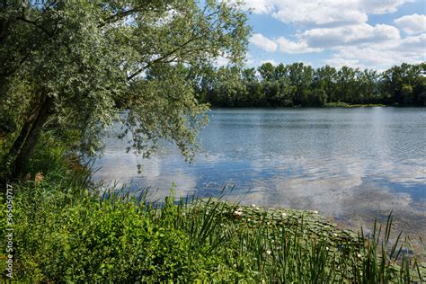 Naherholungsgebiet Zielfinger Seen Bei Rulfingen Stadt Mengen Stock