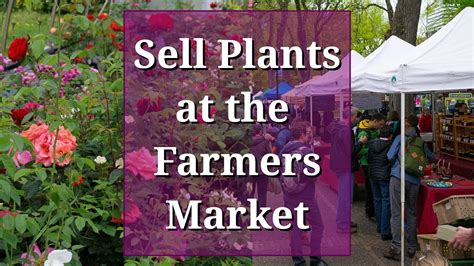 Sell Plants At The Farmers Market Youtube