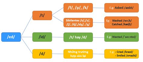 Quy Tắc And Câu Thần Chú Cách Phát âm Ed đơn Giản