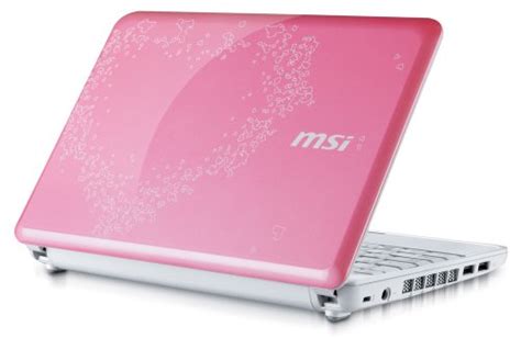 Msi Wind U Us Inch Pink Netbook Cell Battery