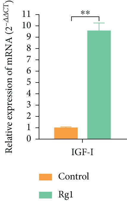 Effects Of Ginsenoside Rg1 On The Paracrine Of Had Mscs Ah The