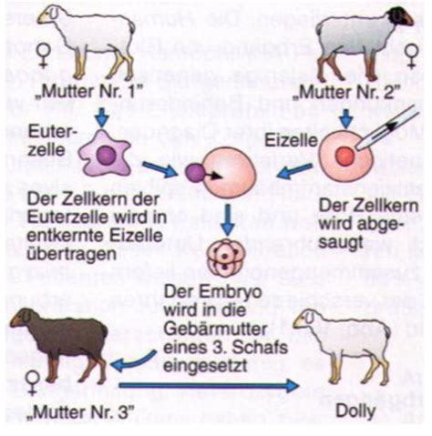 NWS Prüfung Karteikarten Quizlet