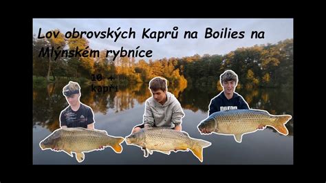 Lov obrovských Kaprů na Boilies na Mlýnském rybníce 10 kapři Můj