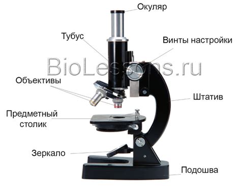 Для чего используют препаровальную иглу