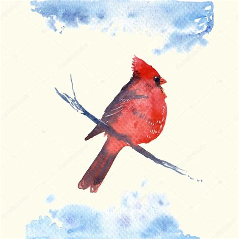 Cardinal Bird Watercolor Style Vector Illustration Stock Vector