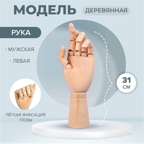 Модель деревянная, рука мужская, левая, 31 см, художественная - купить ...