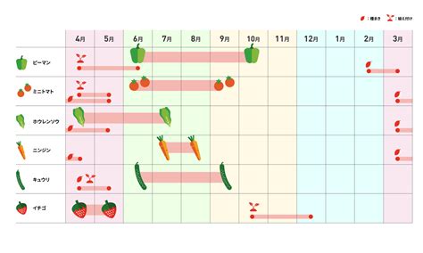 【初心者向け】家庭菜園におすすめの野菜10選。必要な道具も紹介 ＋1 Day