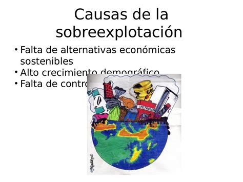 La Sobreexplotación De Recursos Naturales