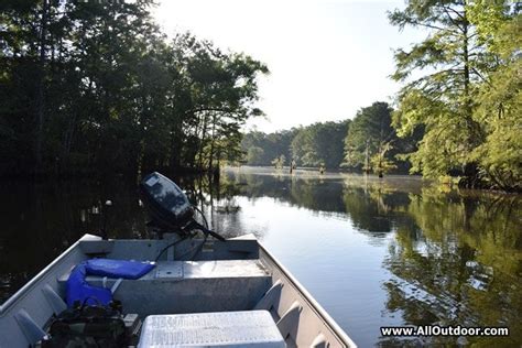 Three Crappie Fishing Tips - AllOutdoor.com