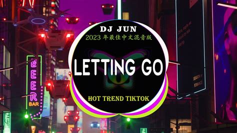 最好的音樂Chinese DJ Remix Hot Tiktok Douyin Dj抖音版 LETTING GO メ 你的答案 メ 仗着 メ 别知己 年最热门的