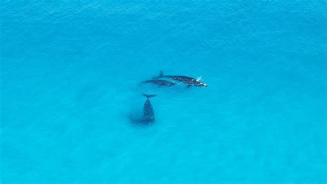 Esperance Cape Le Grand Scenic Flight