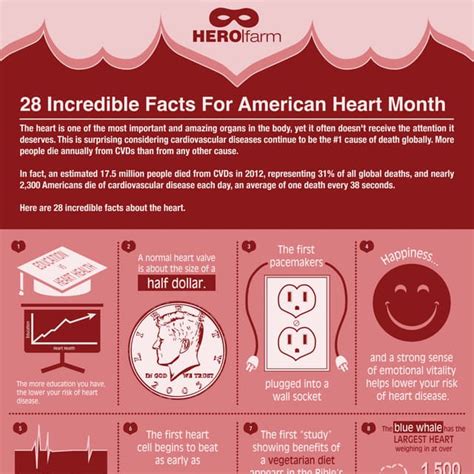 28 Incredible Heart Facts For American Heart Month Pdf