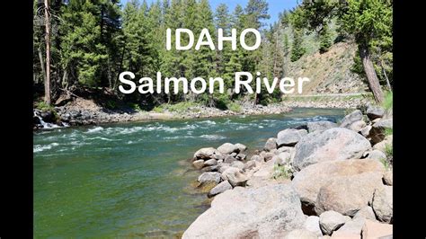 Idaho S Salmon River Fly Fishing For Cutbow Cutthroat Bull Trout