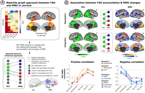 Amyloid And Tau Pathologies Relate To Distinctive Brain