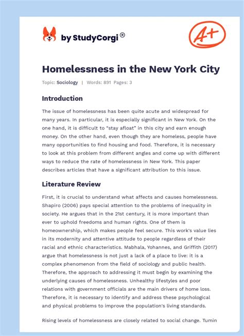 Homelessness In The New York City Free Essay Example