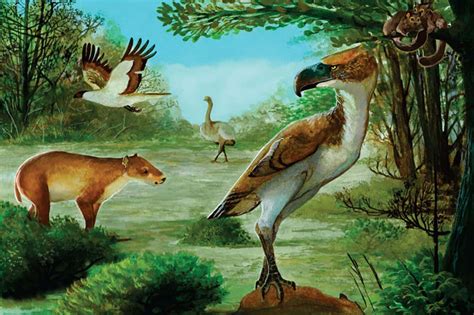 Phorusrhacids Flightless Terror Birds Stalked Antarctica After The