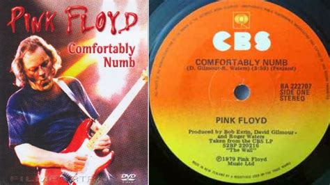 Comfortably Numb │pink Floyd Youtube