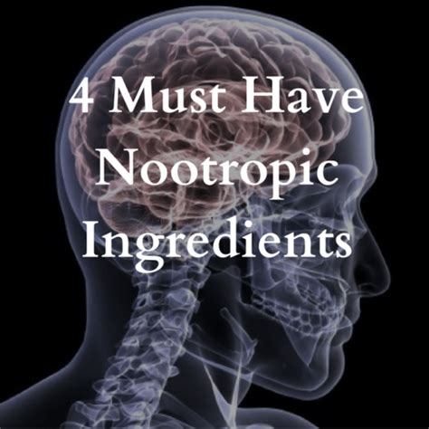 What You Need To Know About Nootropic Supplements Nicyoa Nutrition