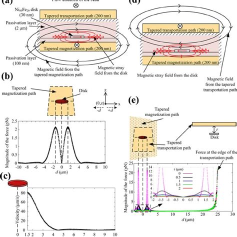 Schematic Of The Magnetic Microfluidic Chip A Chip Design Displaying